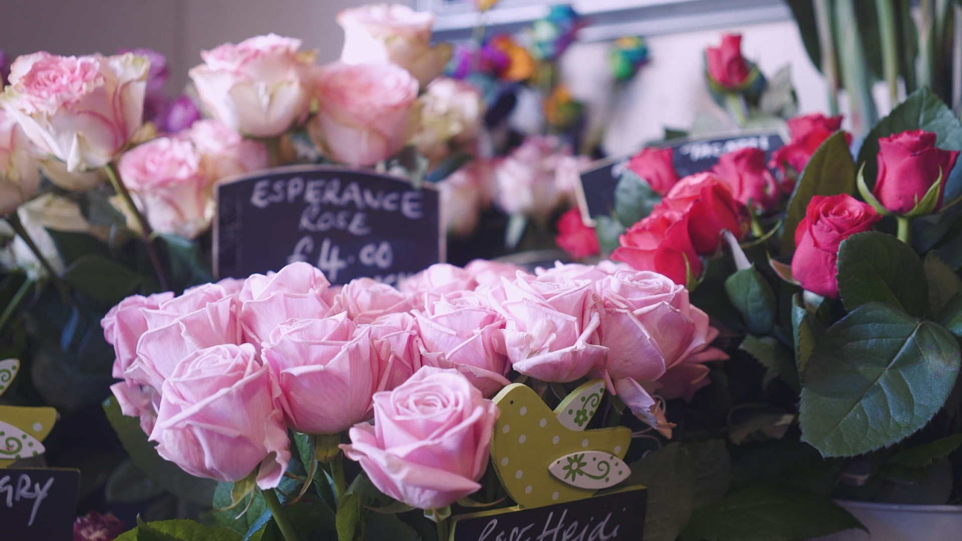Willows Florist in Reigate, Surrey – mother and daughter Shirley and Claire crafting floral bouquets, captured by our video production team